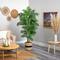 6ft. Curvy Parlor Artificial Palm Tree in Handmade Natural Cotton Planter